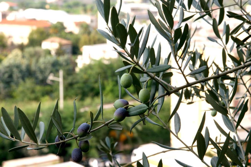 M Suites Σορέντο Εξωτερικό φωτογραφία